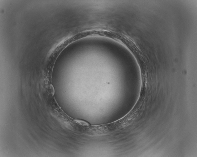 X0000063531159200601201451