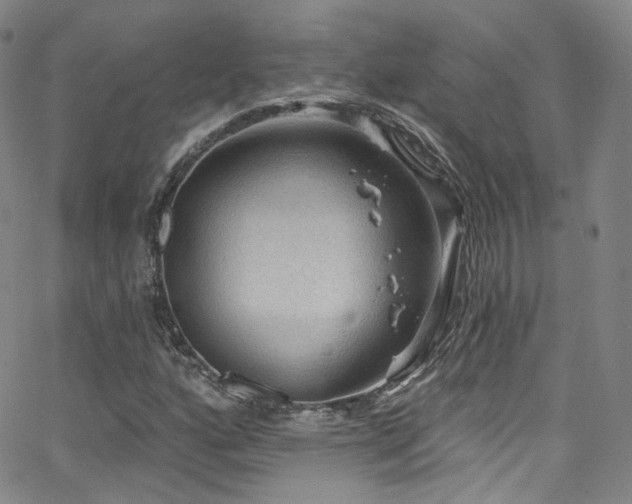 X0000063531160200601201451