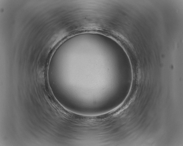 X0000063531162200601201451