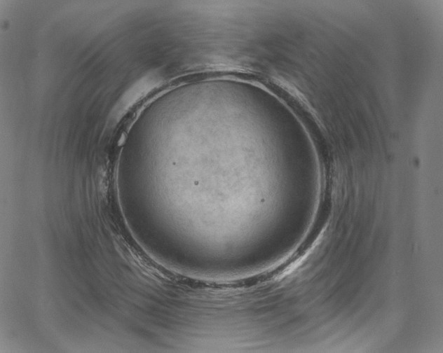 X0000063531163200601201451