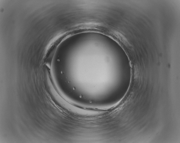 X0000063531164200601201451