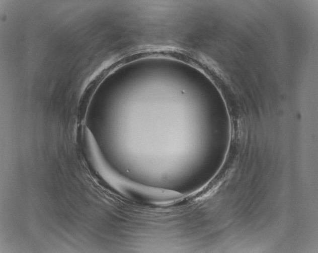 X0000063531165200601201451