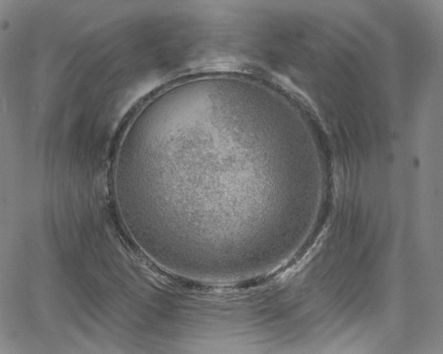 X0000063531166200601201451