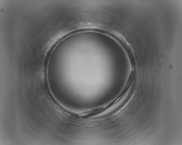 X0000063531167200601201451