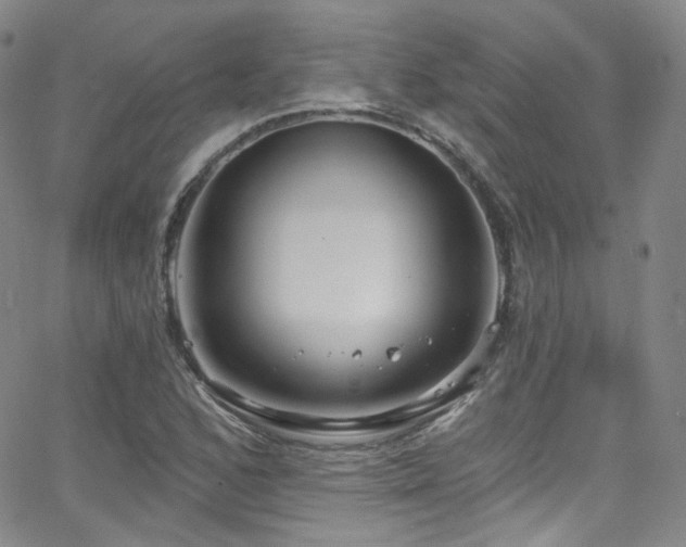 X0000063531168200601201451