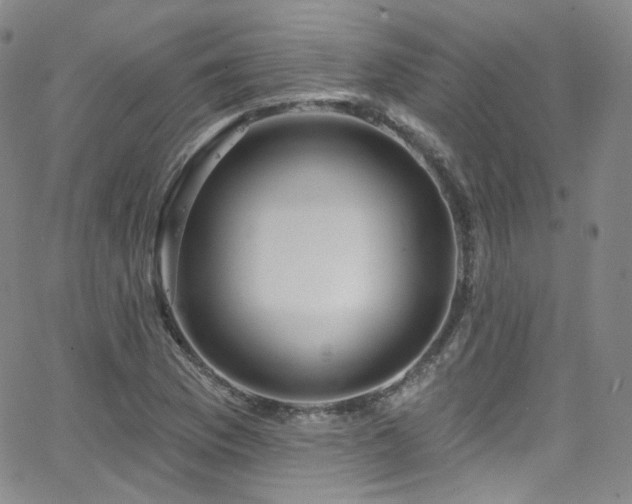 X0000063531169200601201451