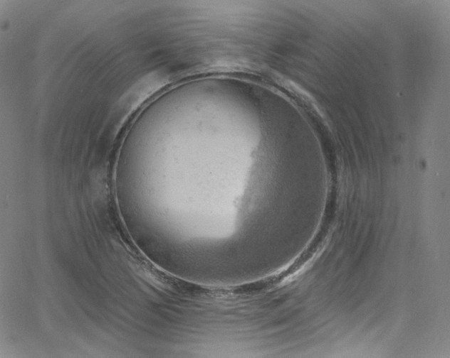 X0000063531170200601201451