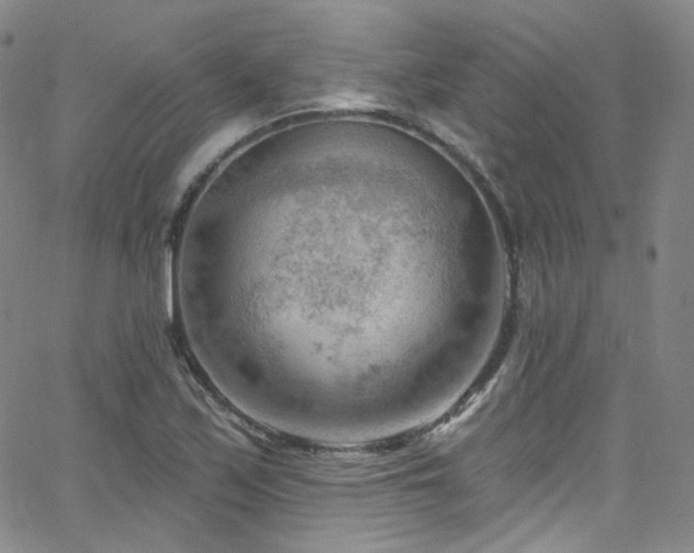 X0000063531171200601201451