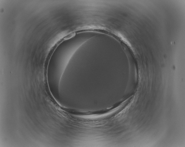 X0000063531173200601201451