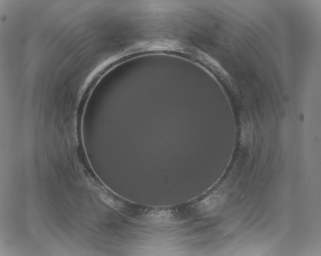 X0000063531174200601201451