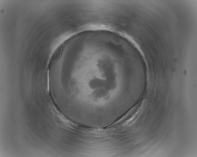 X0000063531175200601201451