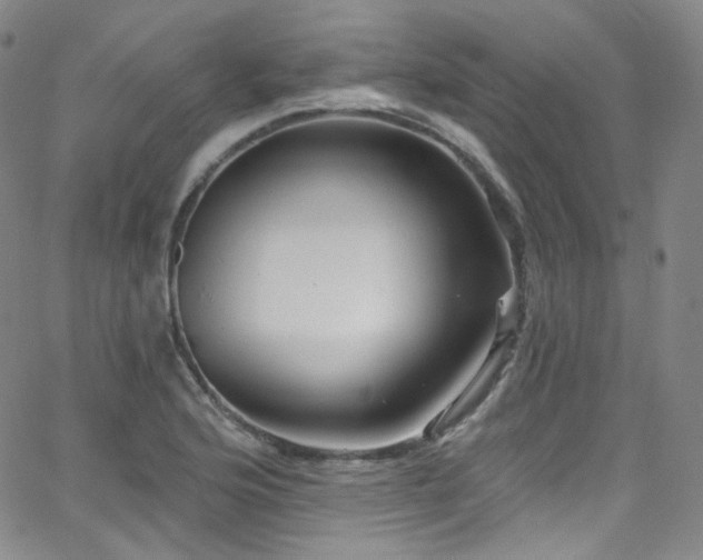 X0000063531176200601201451