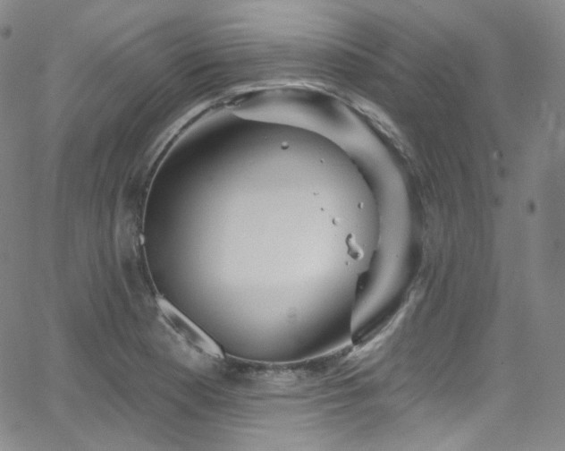 X0000063531177200601201451