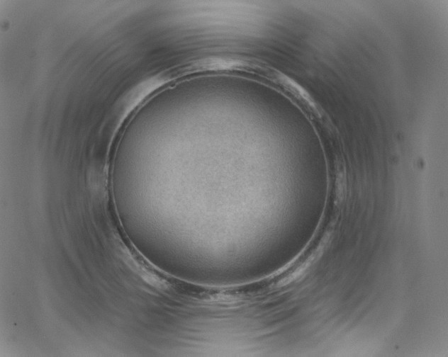 X0000063531178200601201451