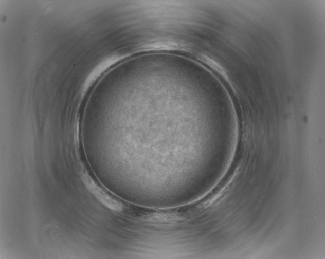 X0000063531179200601201451