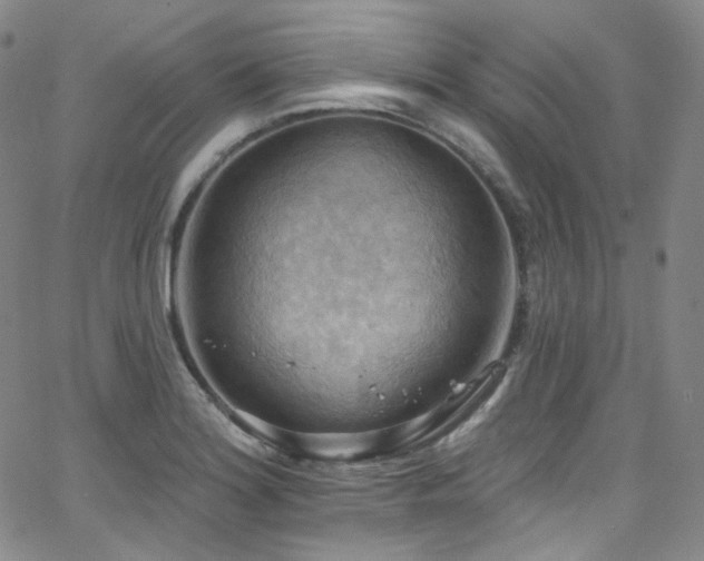 X0000063531180200601201450