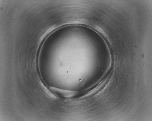 X0000063531181200601201450