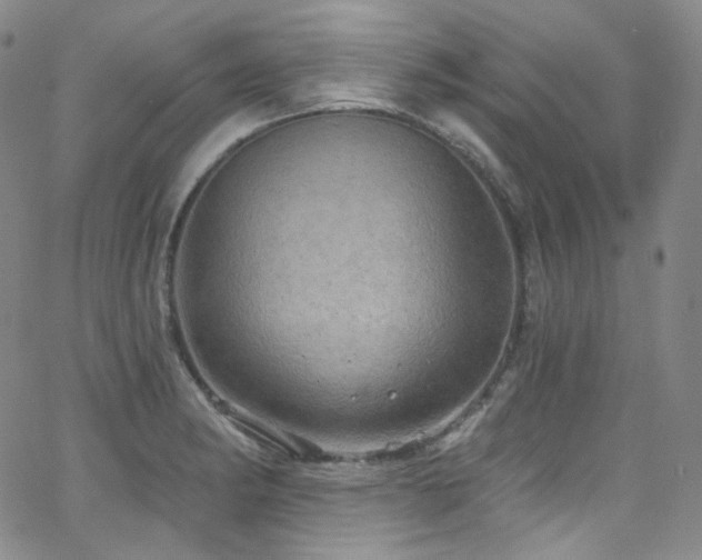 X0000063531182200601201450