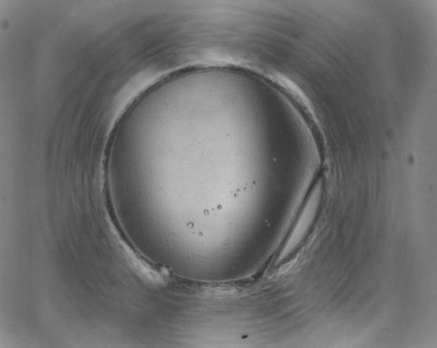 X0000063531183200601201450