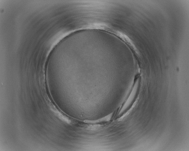 X0000063531184200601201450