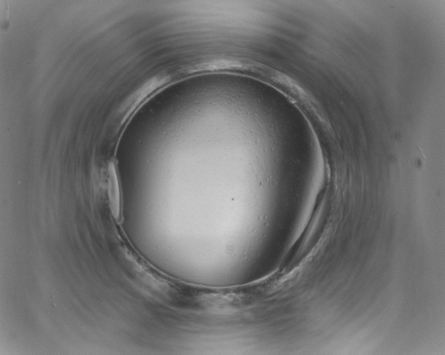 X0000063531185200601201450