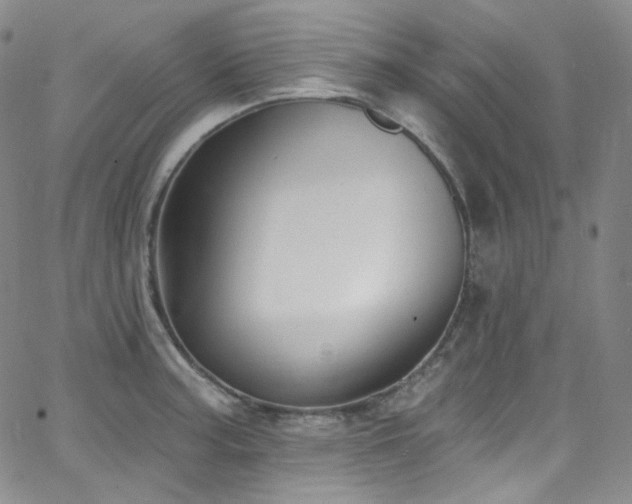 X0000063531187200601201450