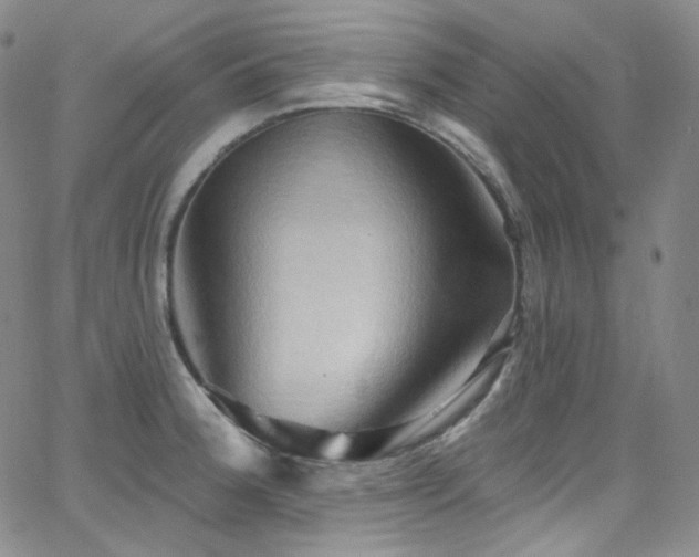 X0000063531188200601201450