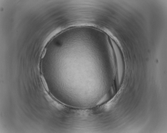 X0000063531189200601201450