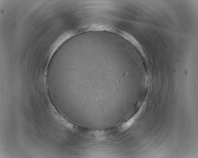 X0000063531190200601201450