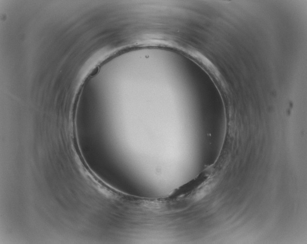 X0000063531191200601201450