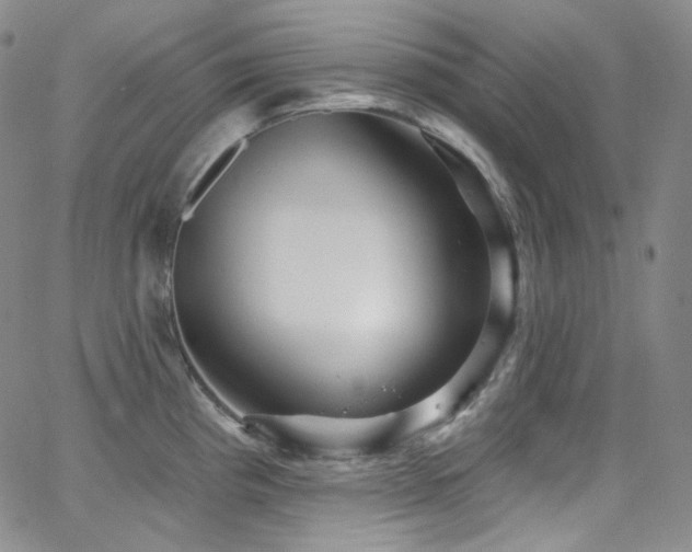 X0000063531193200601201450