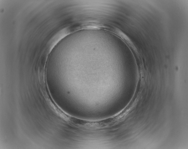 X0000063531194200601201450