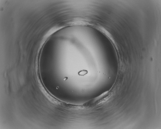 X0000063531195200601201450