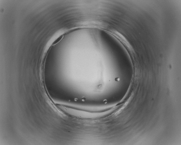 X0000063531196200601201450