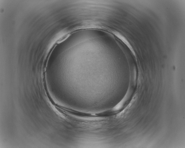 X0000063531197200601201450