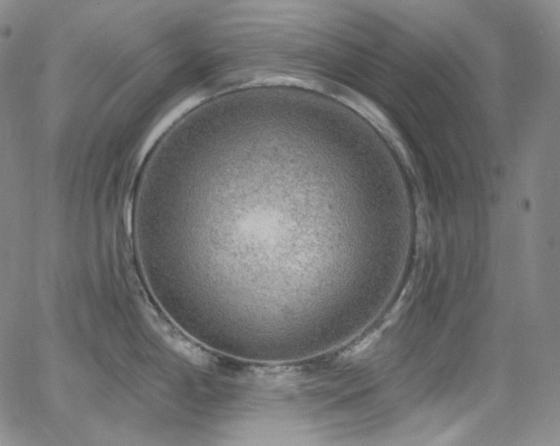 X0000063531198200601201450