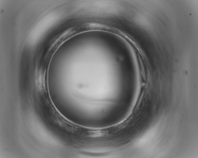 X0000063531199200601201450