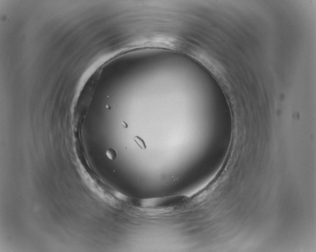 X0000063531200200601201450