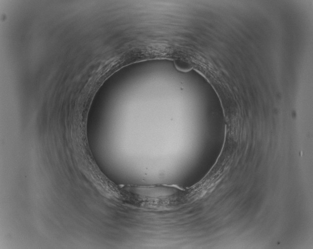 X0000063531201200601201449