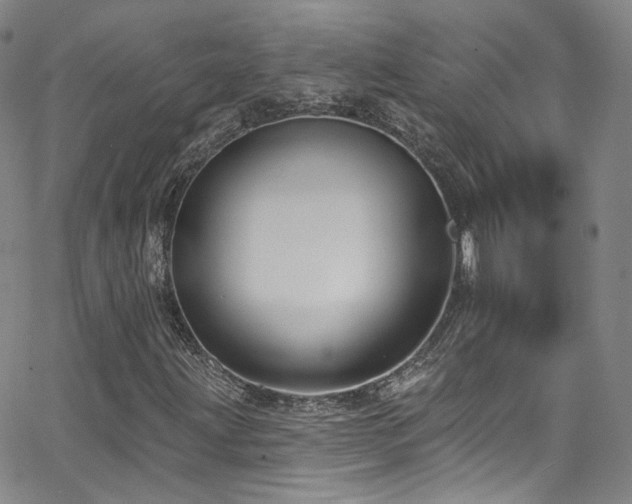 X0000063531203200601201449