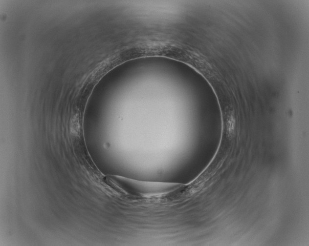 X0000063531204200601201449