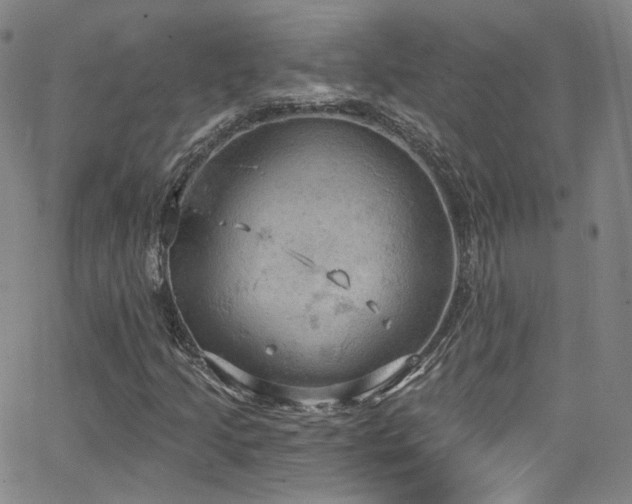 X0000063531205200601201449