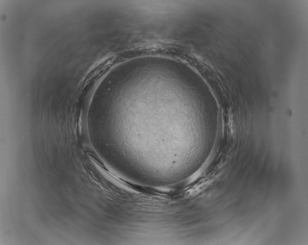 X0000063531206200601201449