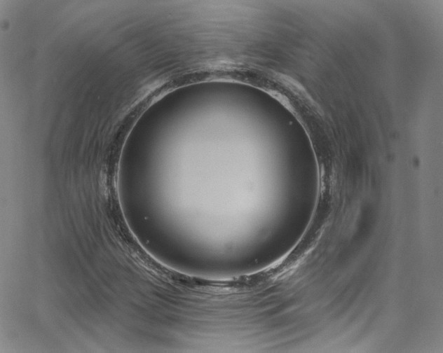 X0000063531209200601201450