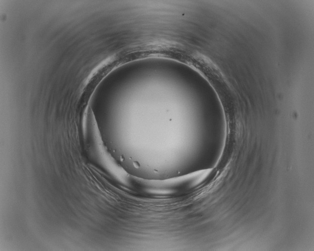 X0000063531210200601201450