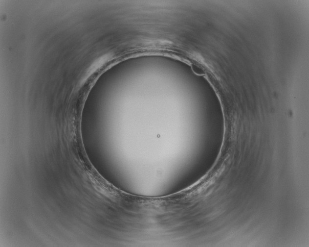 X0000063531211200601201450