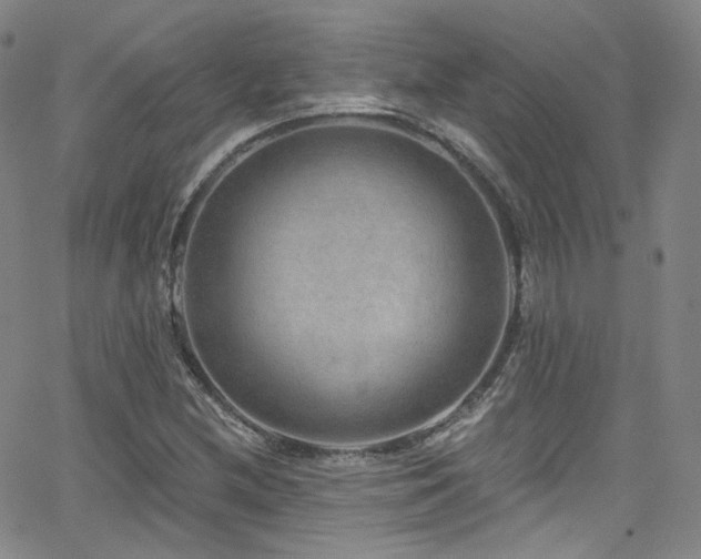 X0000063531212200601201450