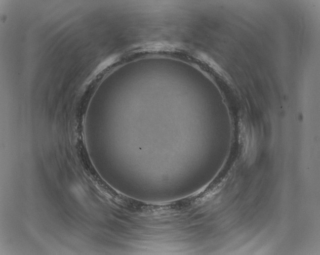 X0000063531213200601201450