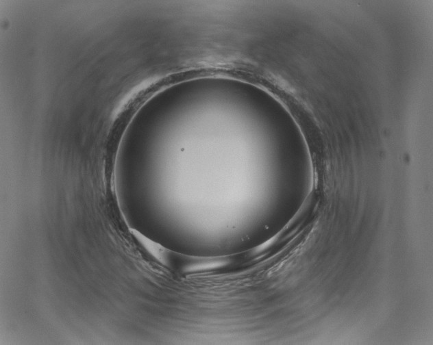 X0000063531214200601201450