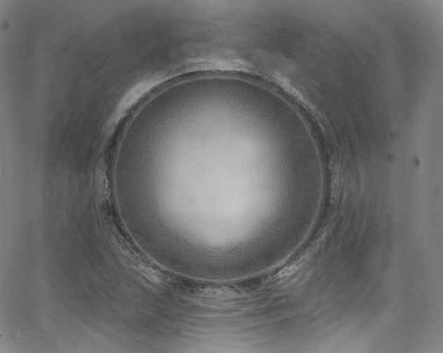 X0000063531215200601201450